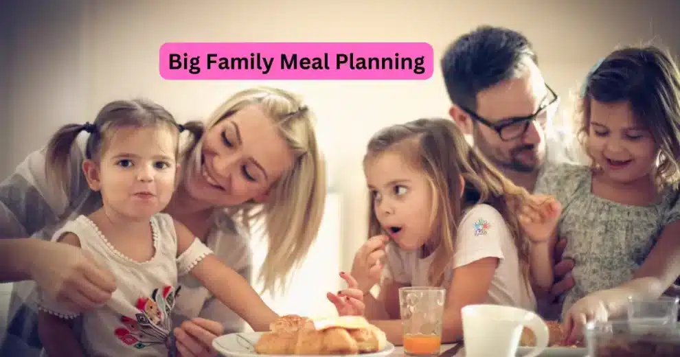 Family Meals for big families