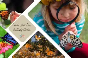 creating your own butterfly garden