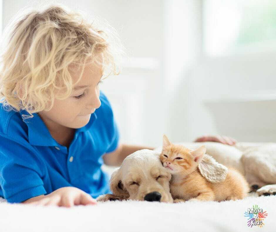 child with pets