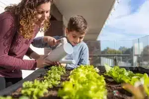 learning to garden