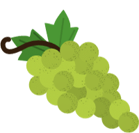 picture of a grape